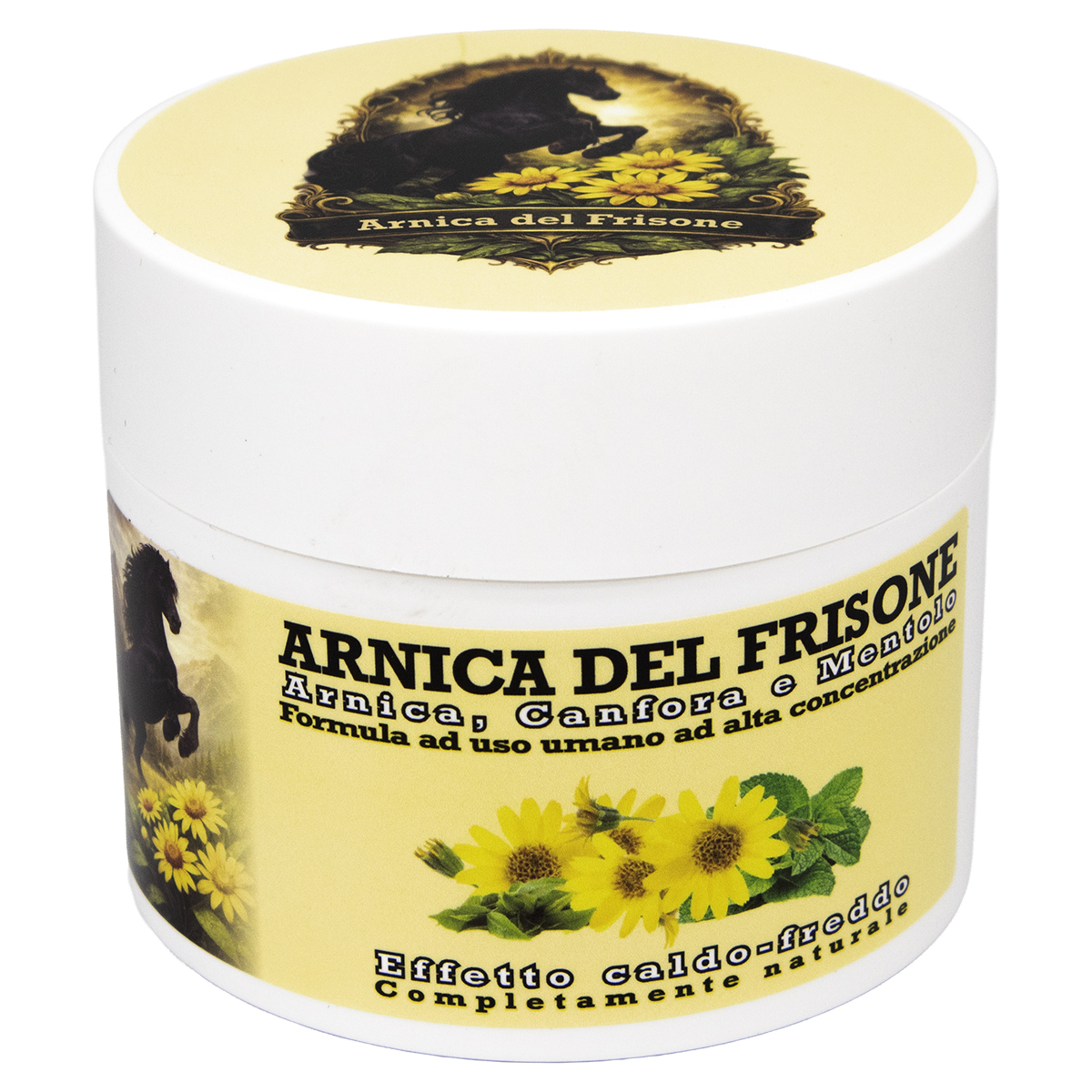 ARNICA DEL FRISONE